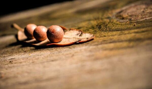 Mrs. Zella Harber Dissects Rail Yard Engineer