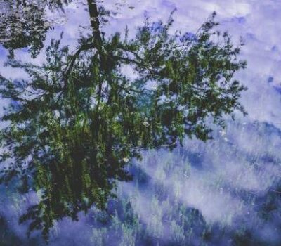 Dissecting Gas Pumping Station Operator