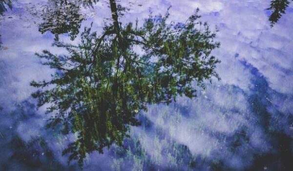 Dissecting Gas Pumping Station Operator