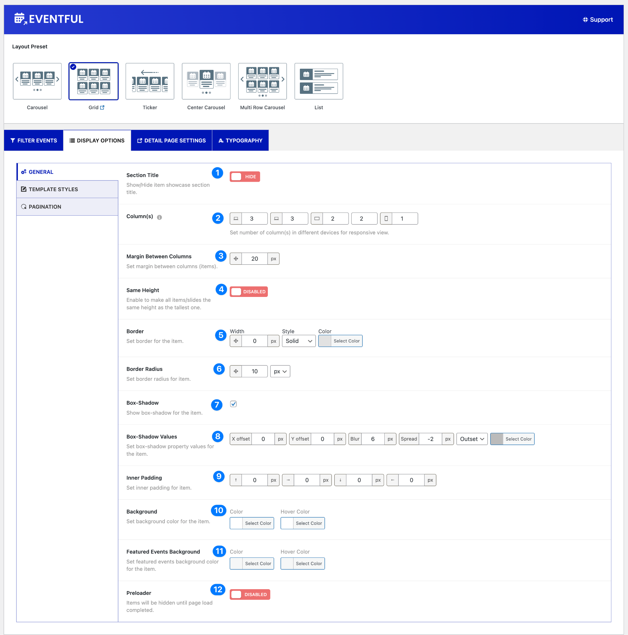 Eventful Display Options General